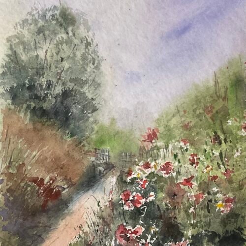 Pipiripips a prop del meu camp