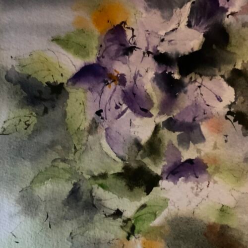 Flors del meu terrat